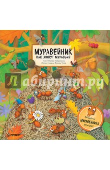 Муравейник. Как живут муравьи? - Житка Петрикова