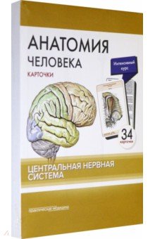 Анатомия человека. Центральная нервная система. КАРТОЧКИ (34 шт) - Сапин, Николенко, Тимофеева