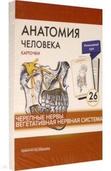 Анатомия человека.Черепные нервы. Карточки (26 шт)