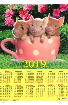 Календарь 2019 "Год поросенка. Веселые малыши в чашке" (90927) Календарь 2019 "Год поросенка. Веселые малыши в чашке" (90927)