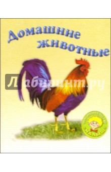 Домашние животные обложка книги Домашние животные обложка книги