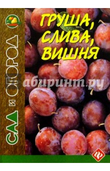 Игорь Путырский - Груша, слива, вишня обложка книги Игорь Путырский - Груша, слива, вишня обложка книги