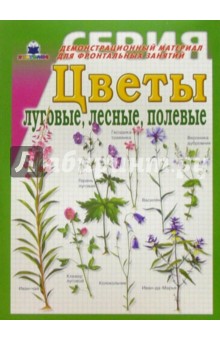 Презентация для дошкольников луговые и полевые цветы