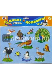 Дикие и домашние птицы Дикие и домашние птицы
