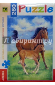 Step Puzzle-260 74032 Лошади обложка книги Step Puzzle-260 74032 Лошади обложка книги
