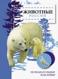 Животные России обложка книги