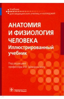 Анатомия и физиология человека. Учебник для СПО - Гайворонский, Николенко, Гайворонский