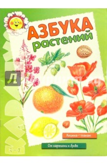 Азбука растений. Книжка - плакат (5-7 лет) обложка книги Азбука растений. Книжка - плакат (5-7 лет) обложка книги