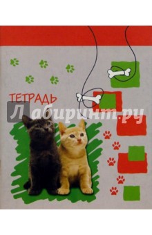 Тетрадь 48л. 3175 Тетрадь 48л. 3175