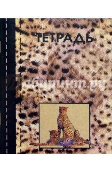 Тетрадь 48 листов /3186 Тетрадь 48 листов /3186