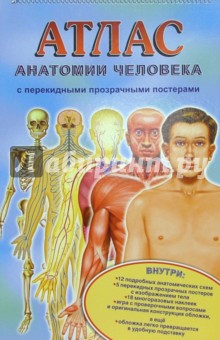 Ганьон, Мерсеро - Атлас анатомии человека с перекидными прозрачными постерами (большой) обложка книги Ганьон, Мерсеро - Атлас анатомии человека с перекидными прозрачными постерами (большой) обложка книги