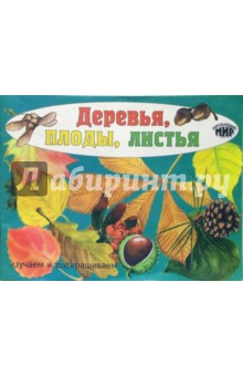 Деревья, плоды, листья. Изучаем и раскрашиваем