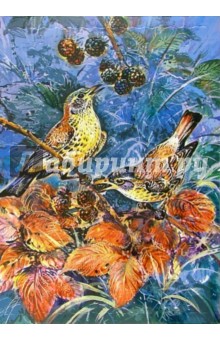 Развивающие рамки "Живая природа. Дрозды" Развивающие рамки "Живая природа. Дрозды"