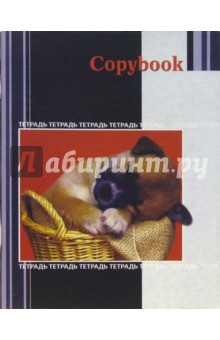 Тетрадь 96л. 3698 Тетрадь 96л. 3698