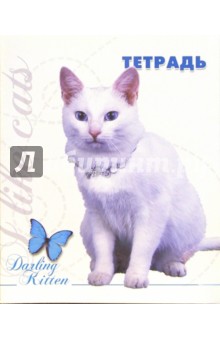 Тетрадь 48 листов клетка (ТК748715,16,17,18) Тетрадь 48 листов клетка (ТК748715,16,17,18)