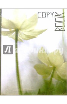 Тетрадь Copy Book 160л. 3929 Тетрадь Copy Book 160л. 3929