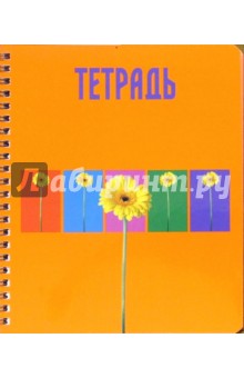 Тетрадь 80 листов 4250 (клетка) Тетрадь 80 листов 4250 (клетка)