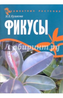 Фикусы - Марина Куликова