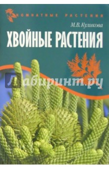 Марина Куликова - Хвойные растения. Комнатные растения обложка книги Марина Куликова - Хвойные растения. Комнатные растения обложка книги