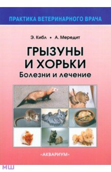 Болезни хомяков: симптомы лечение распространение | МосВетПомощь