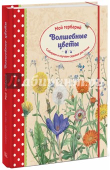 Цветы из бумаги - миниатюрный бумажный гербарий - Сделай сам - Медиаплатформа МирТесен