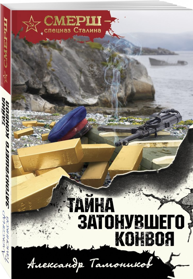 Иллюстрация 1 из 7 для Тайна затонувшего конвоя - Александр Тамоников | Лабиринт - книги. Источник: Лабиринт