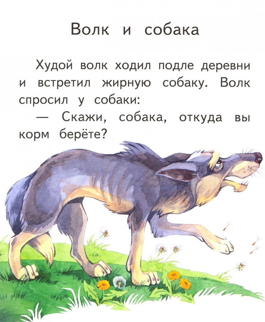Давным давно в лесу жила собака сказка. Басни Льва Толстого волк и собака. Басня волк и собака толстой. Сказка про собаку. Собака и волк сказка.