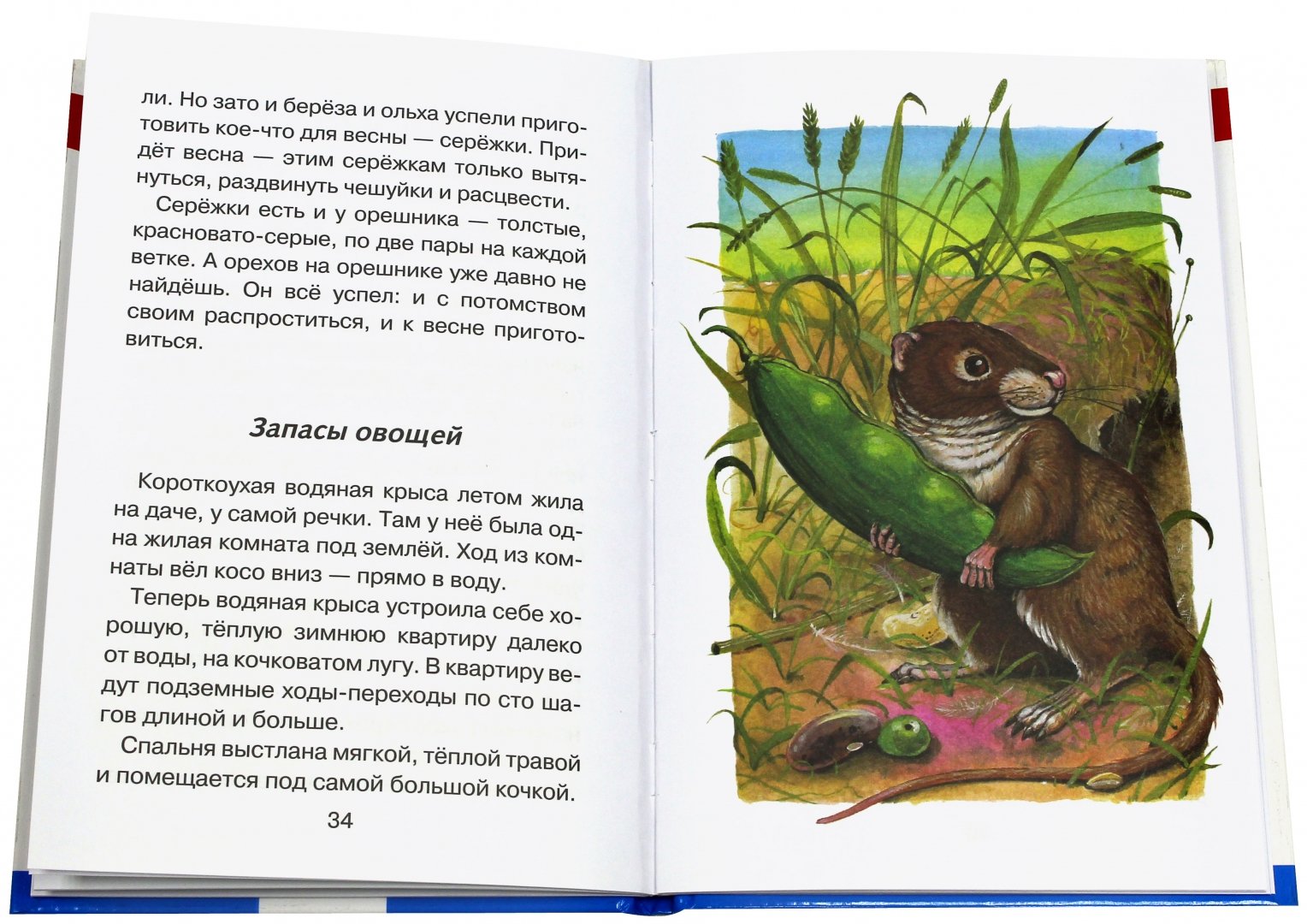 Иллюстрация 2 из 35 для Лесные детёныши - Виталий Бианки | Лабиринт - книги. Источник: Лабиринт