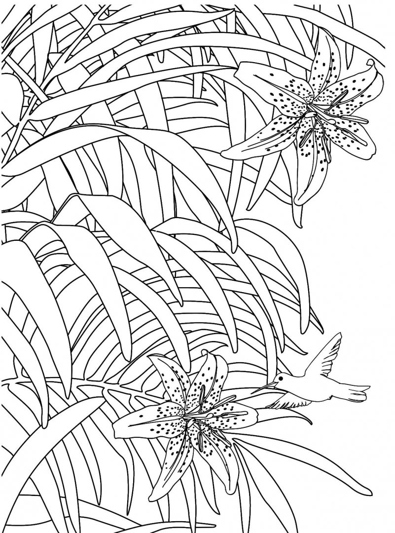 Иллюстрация 3 из 22 для Дивный сад. Раскраска-антистресс | Лабиринт - книги. Источник: Лабиринт