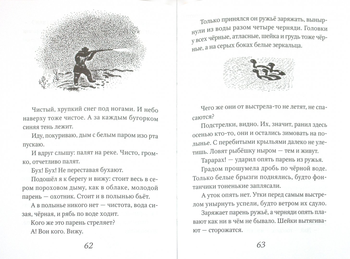Иллюстрация 1 из 6 для Кошка Маруська - Евгений Чарушин | Лабиринт - книги. Источник: Лабиринт