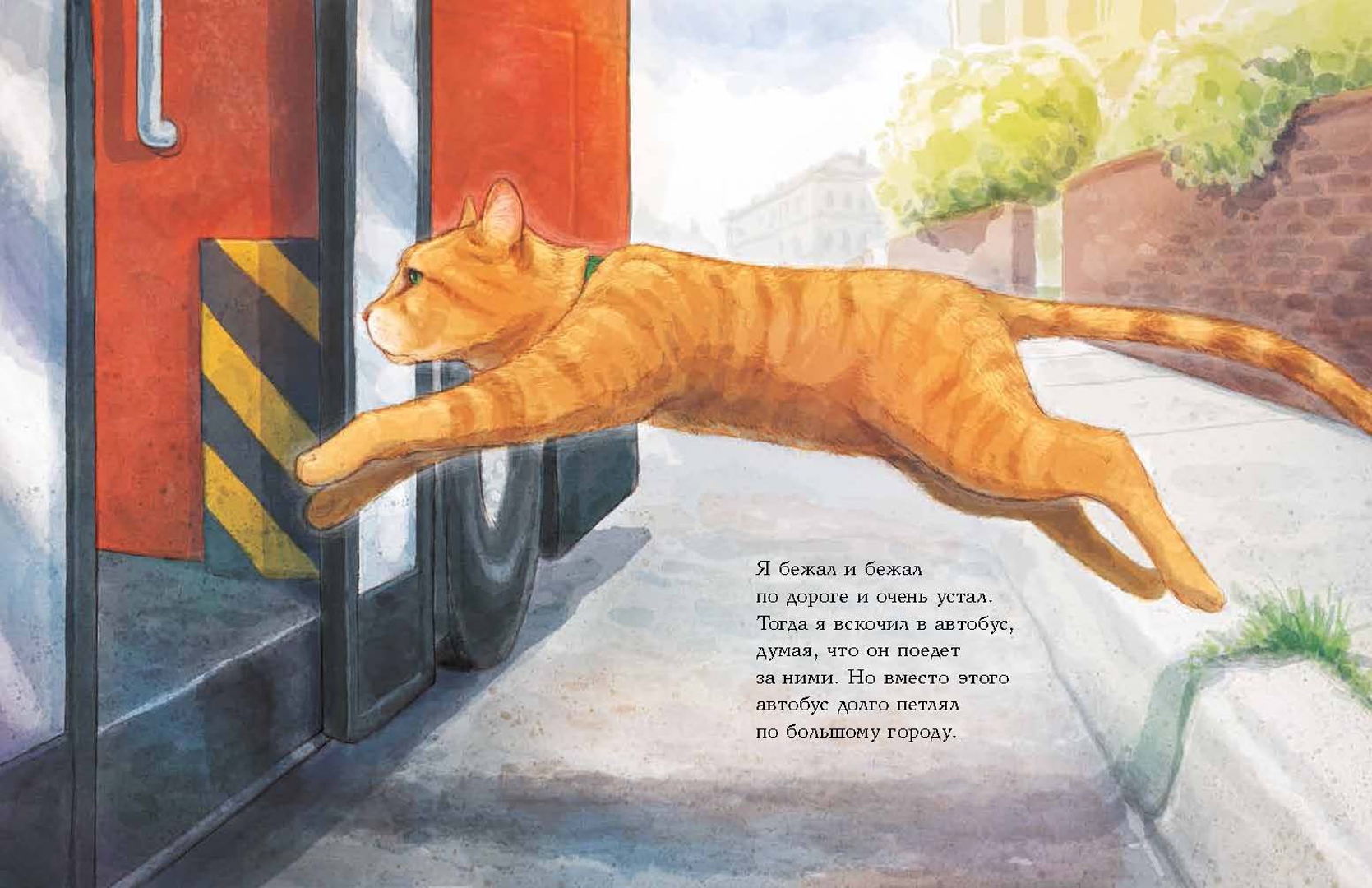 Иллюстрация 5 из 69 для Кот по имени Боб - Боуэн, Дженкинс | Лабиринт - книги. Источник: Лабиринт