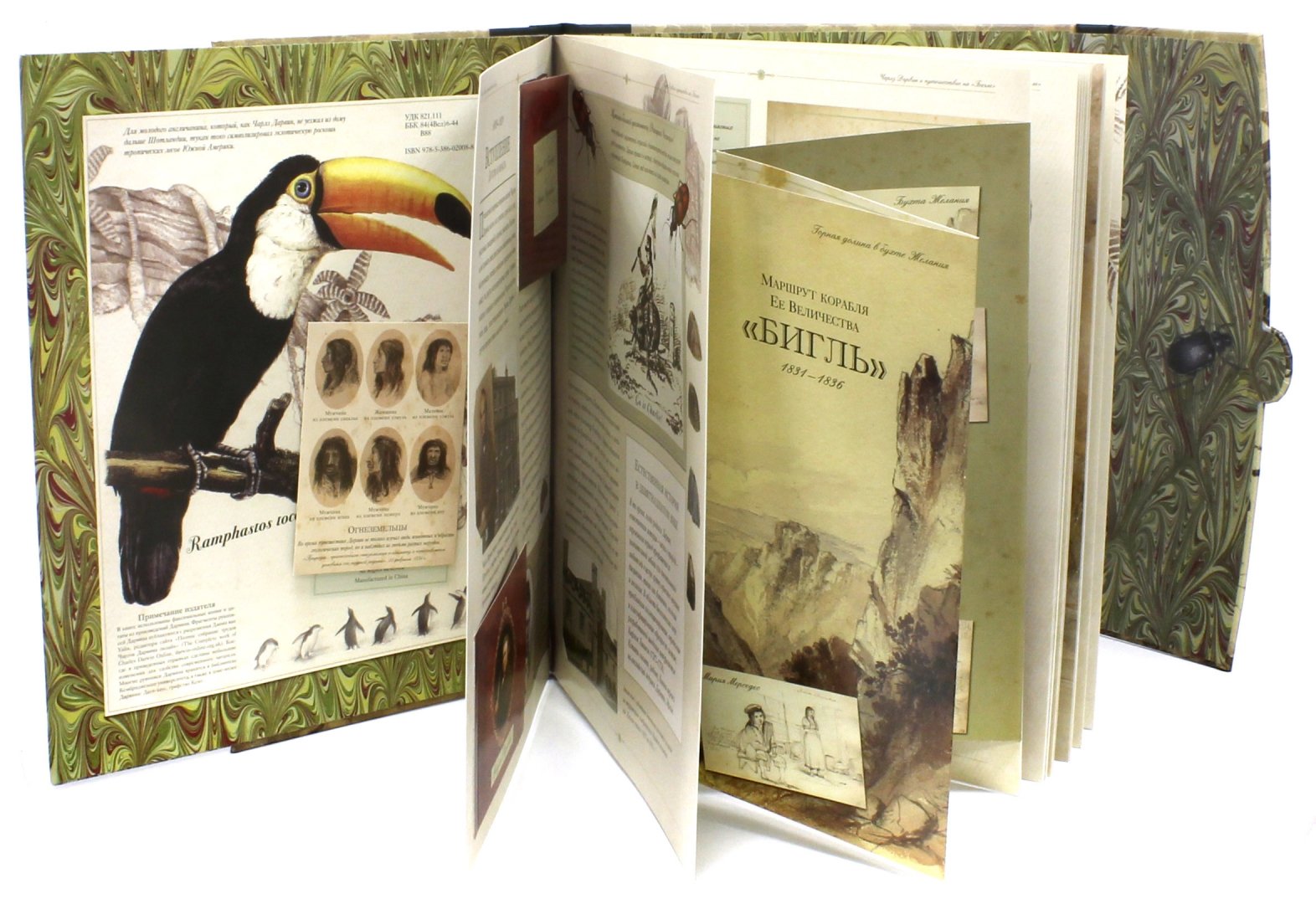 Иллюстрация 4 из 54 для Чарлз Дарвин и путешествие на "Бигле" - Твист, Вуд | Лабиринт - книги. Источник: Лабиринт