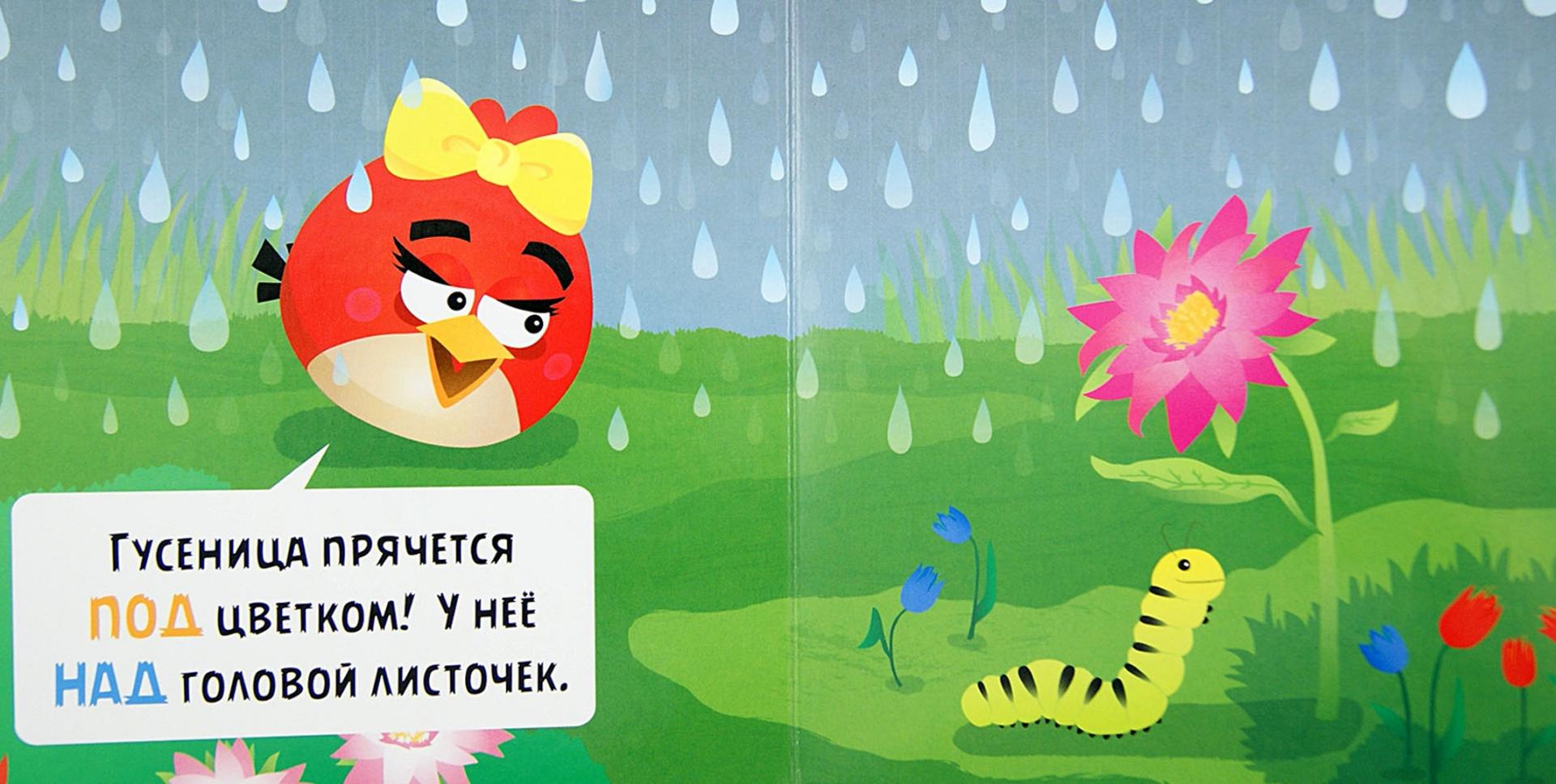 Иллюстрация 1 из 16 для Angry Birds. Кто, где, куда? | Лабиринт - книги. Источник: Лабиринт