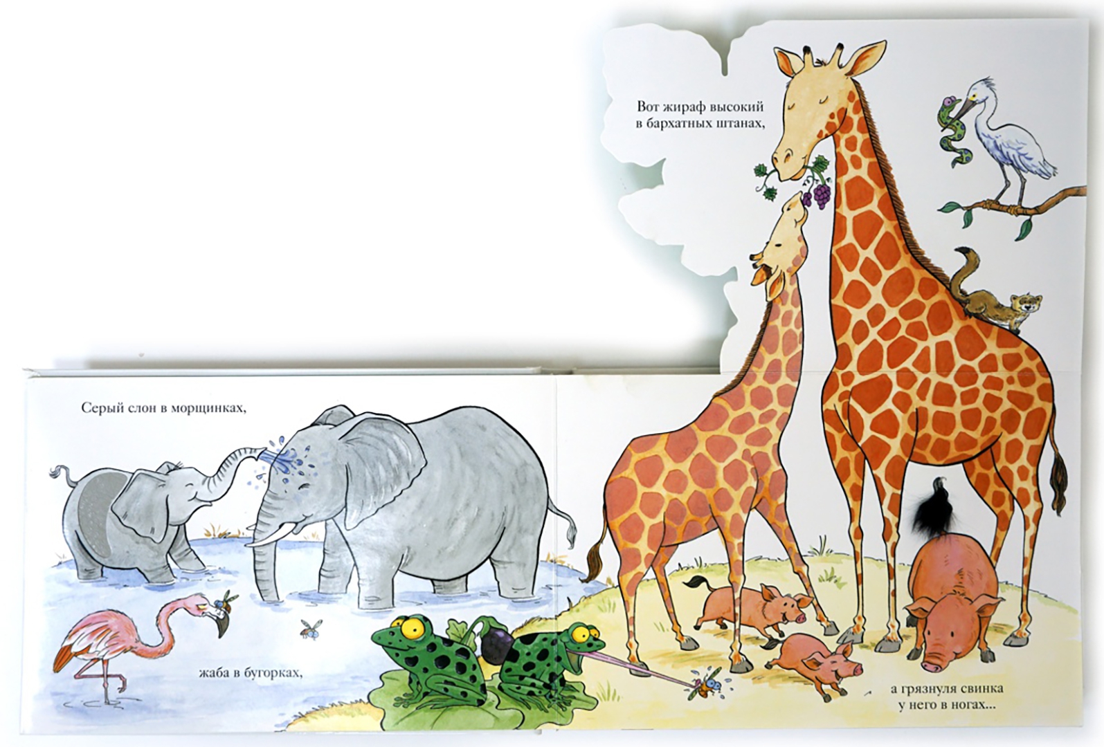 Иллюстрация 5 из 70 для Зоопарк - Флит Ван | Лабиринт - книги. Источник: Лабиринт