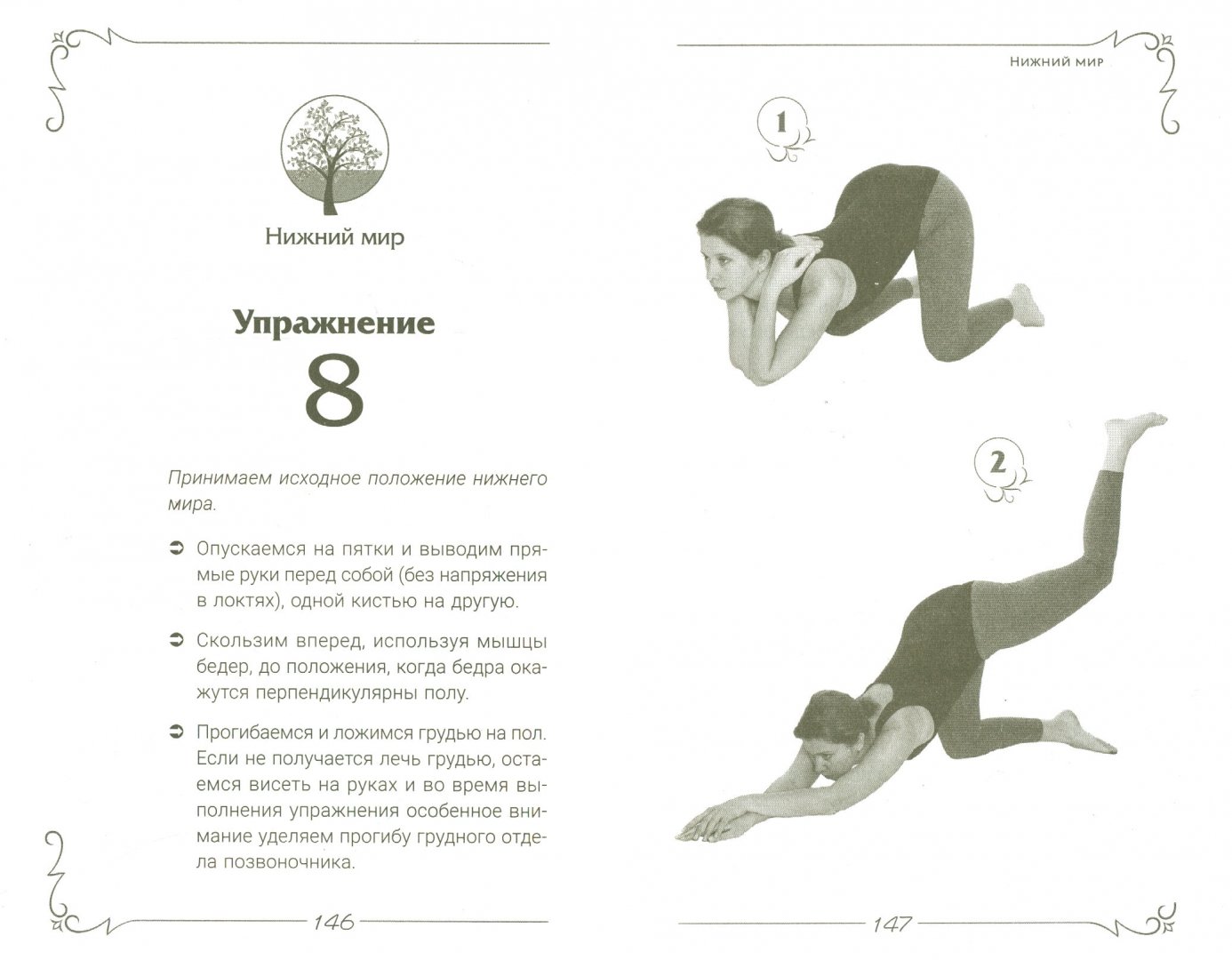 Иллюстрация 1 из 19 для Рождение звезды. Женская гимнастика - Мария Гусева | Лабиринт - книги. Источник: Лабиринт