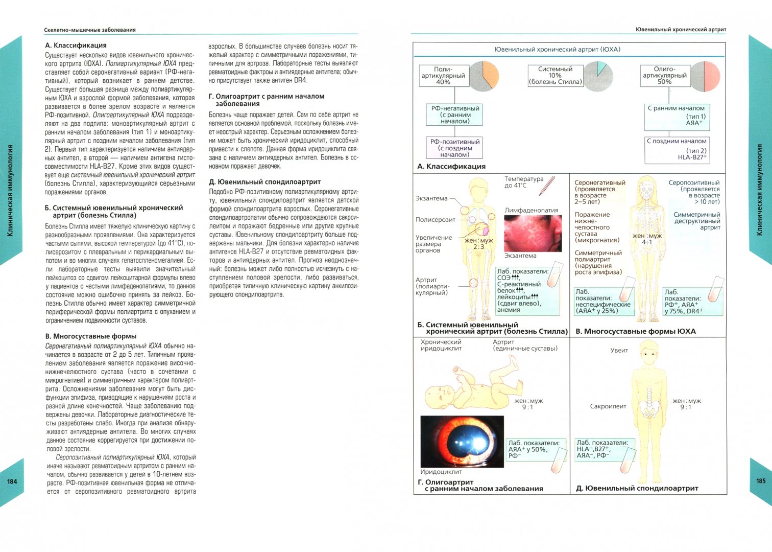Иллюстрация 1 из 28 для Наглядная  иммунология - Бурместер, Пецутто | Лабиринт - книги. Источник: Лабиринт