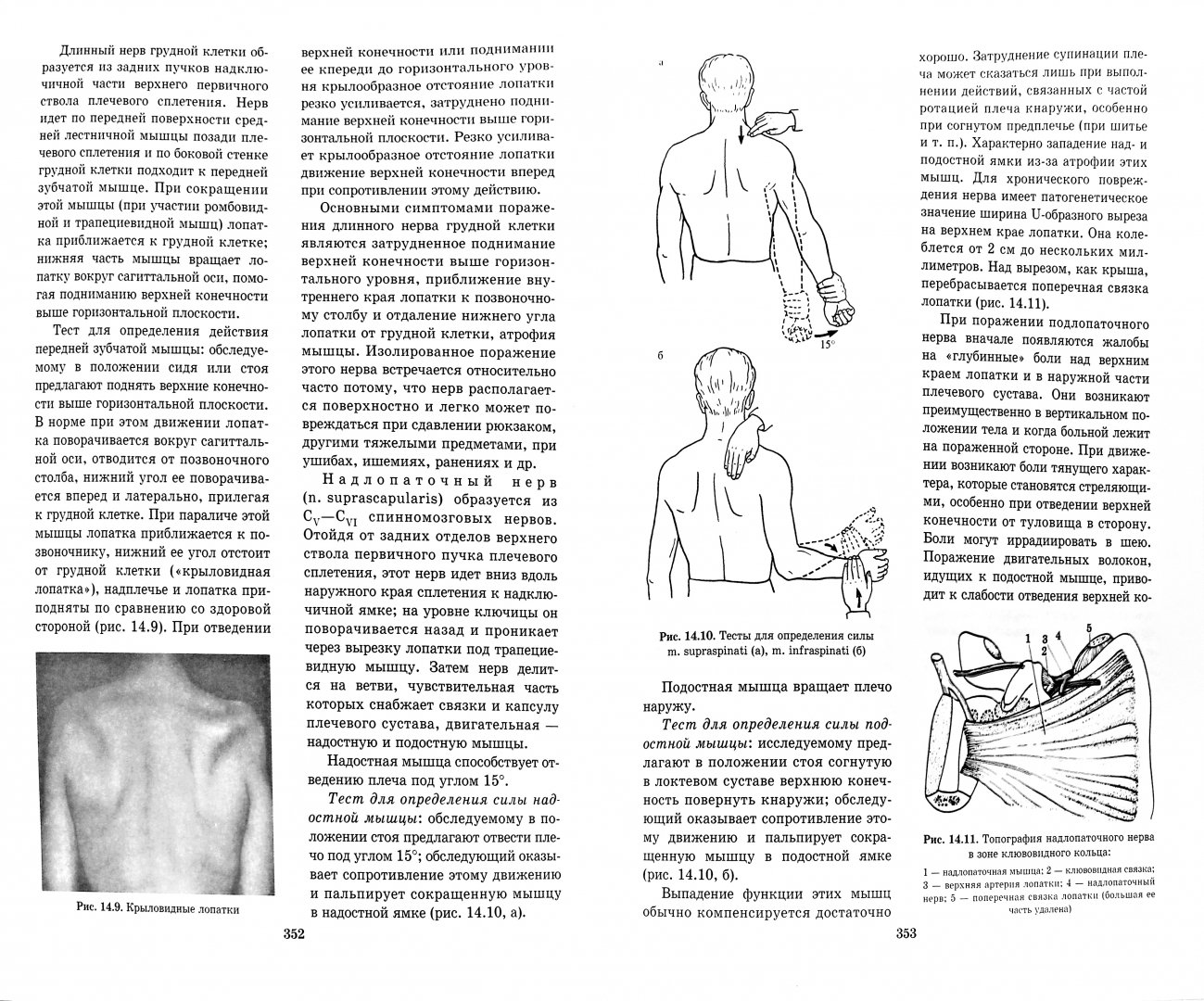 Иллюстрация 1 из 17 для Топическая диагностика заболеваний нервной системы. Руководство для врачей - Скоромец, Скоромец, Скоромец | Лабиринт - книги. Источник: Лабиринт