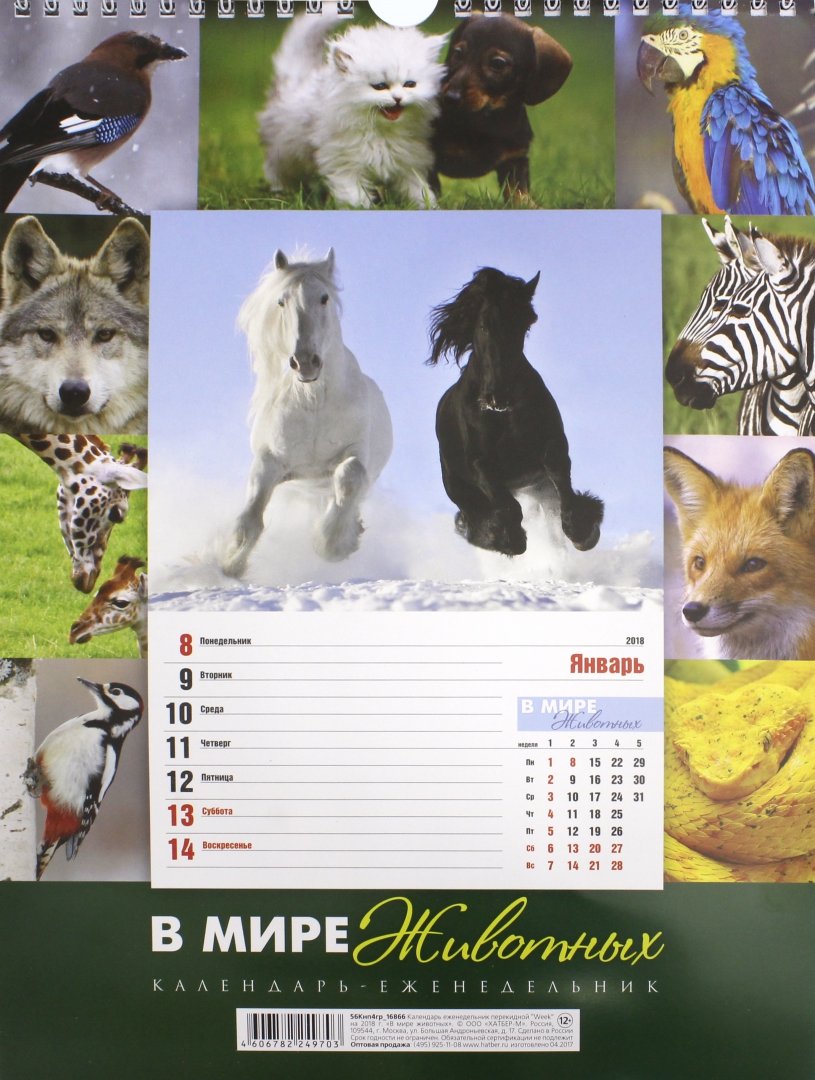 Иллюстрация 1 из 24 для Календарь-еженедельник на 2018 год, настенный, перекидной "В мире животных" (56Кнп4гр_16866) | Лабиринт - сувениры. Источник: Лабиринт