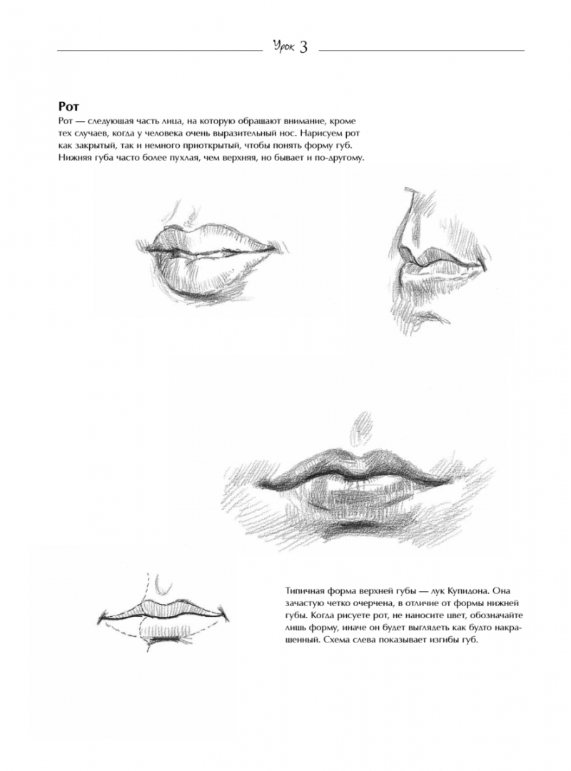 Иллюстрация 2 из 5 для 7 простых уроков рисования - Баррингтон Барбер | Лабиринт - книги. Источник: Лабиринт