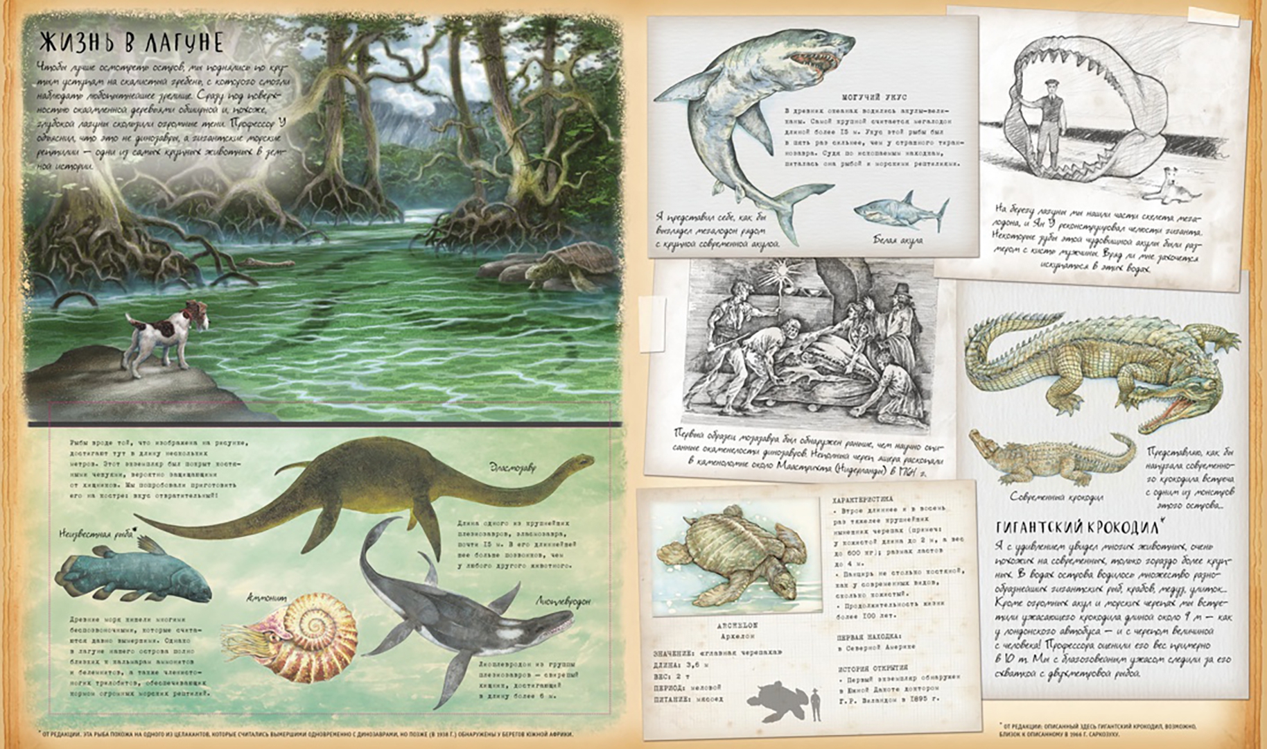 Иллюстрация 5 из 24 для Динозавроведение. Поиски затерянного мира | Лабиринт - книги. Источник: Лабиринт