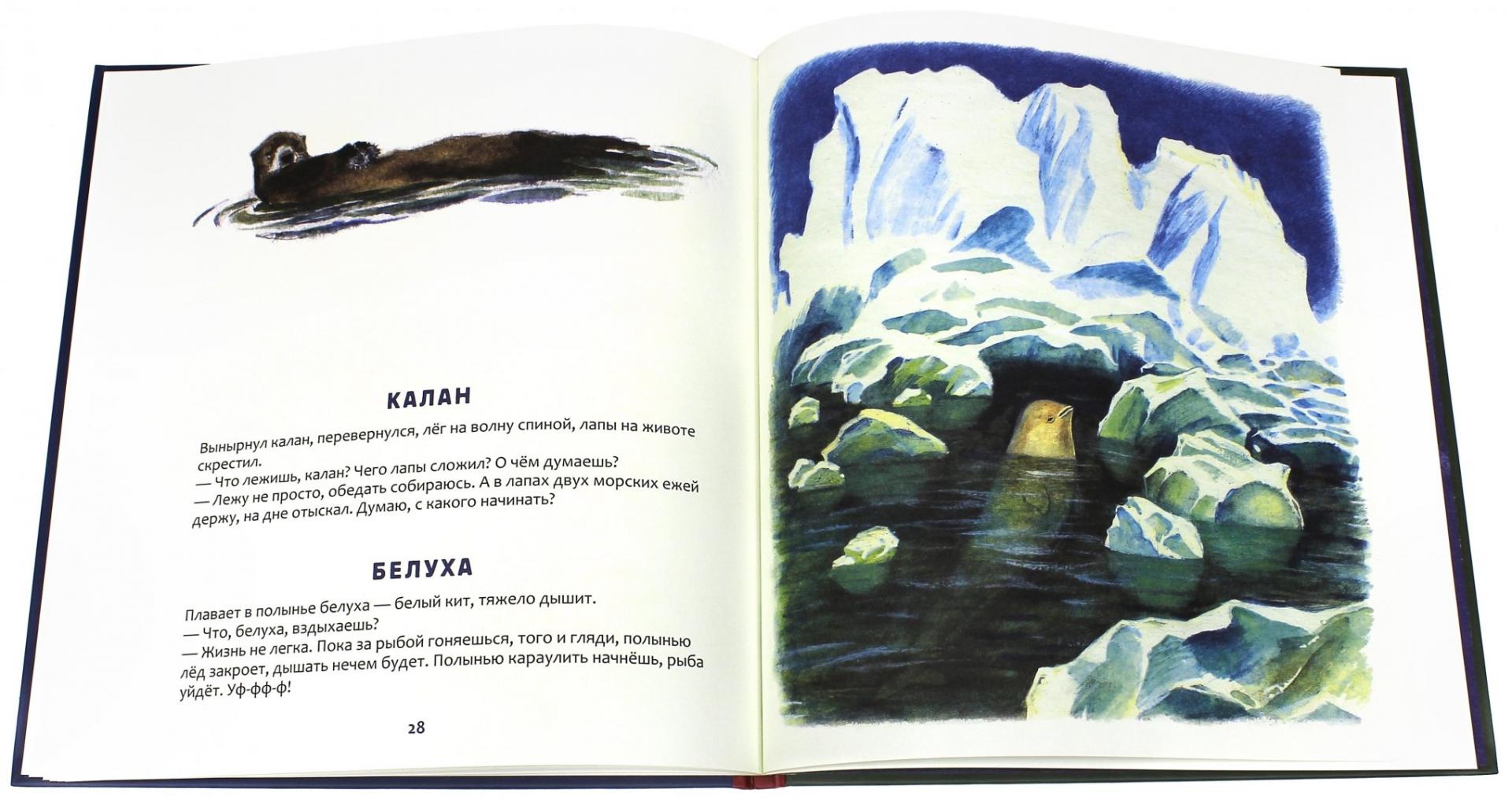 Иллюстрация 4 из 61 для Кто в море живет - Святослав Сахарнов | Лабиринт - книги. Источник: Лабиринт