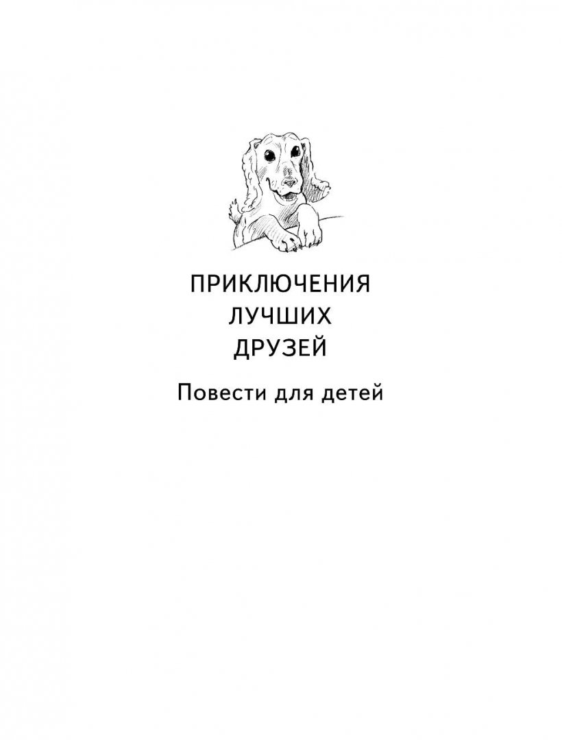 Иллюстрация 1 из 53 для Собака по щучьему велению - Владимир Сотников | Лабиринт - книги. Источник: Лабиринт