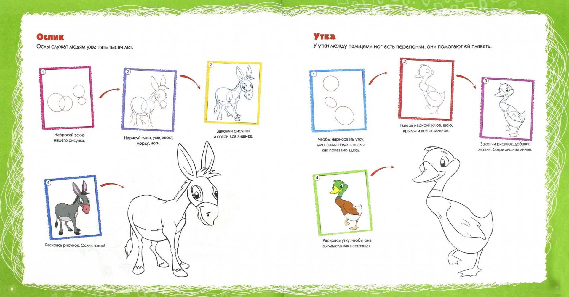 Иллюстрация 1 из 11 для Учимся рисовать. Домашние животные | Лабиринт - книги. Источник: Лабиринт