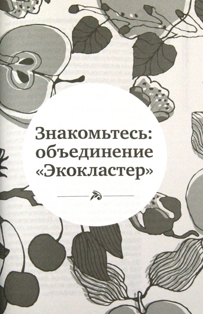 Иллюстрация 1 из 2 для Бизнес в стиле эко: Как производить и продавать натуральные продукты - Александр Коновалов | Лабиринт - книги. Источник: Лабиринт