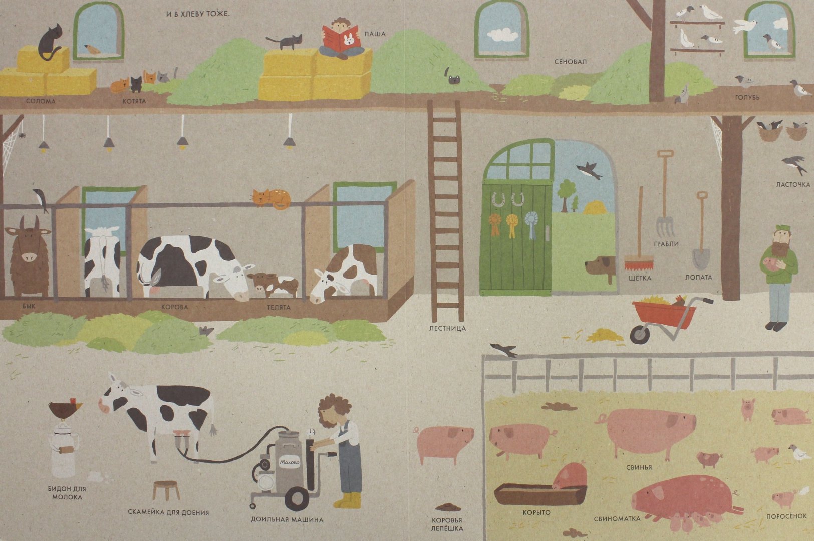 Иллюстрация 1 из 20 для Моя большая ферма - Катрин Виле | Лабиринт - книги. Источник: Лабиринт