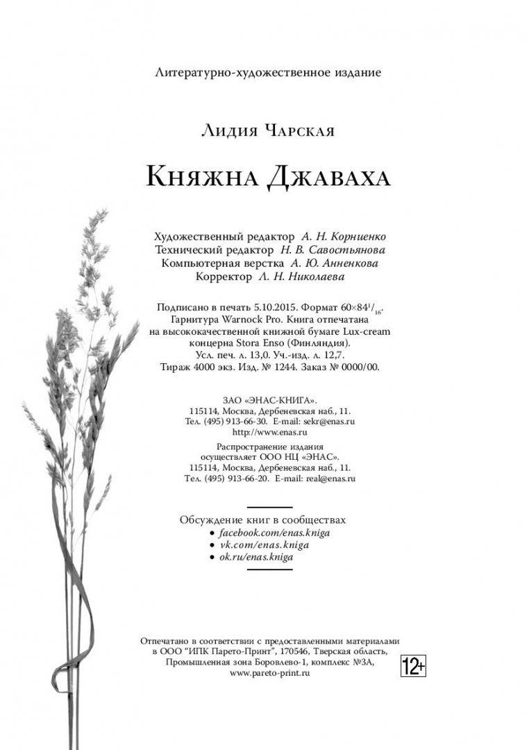 Иллюстрация 12 из 18 для Княжна Джаваха - Лидия Чарская | Лабиринт - книги. Источник: Лабиринт