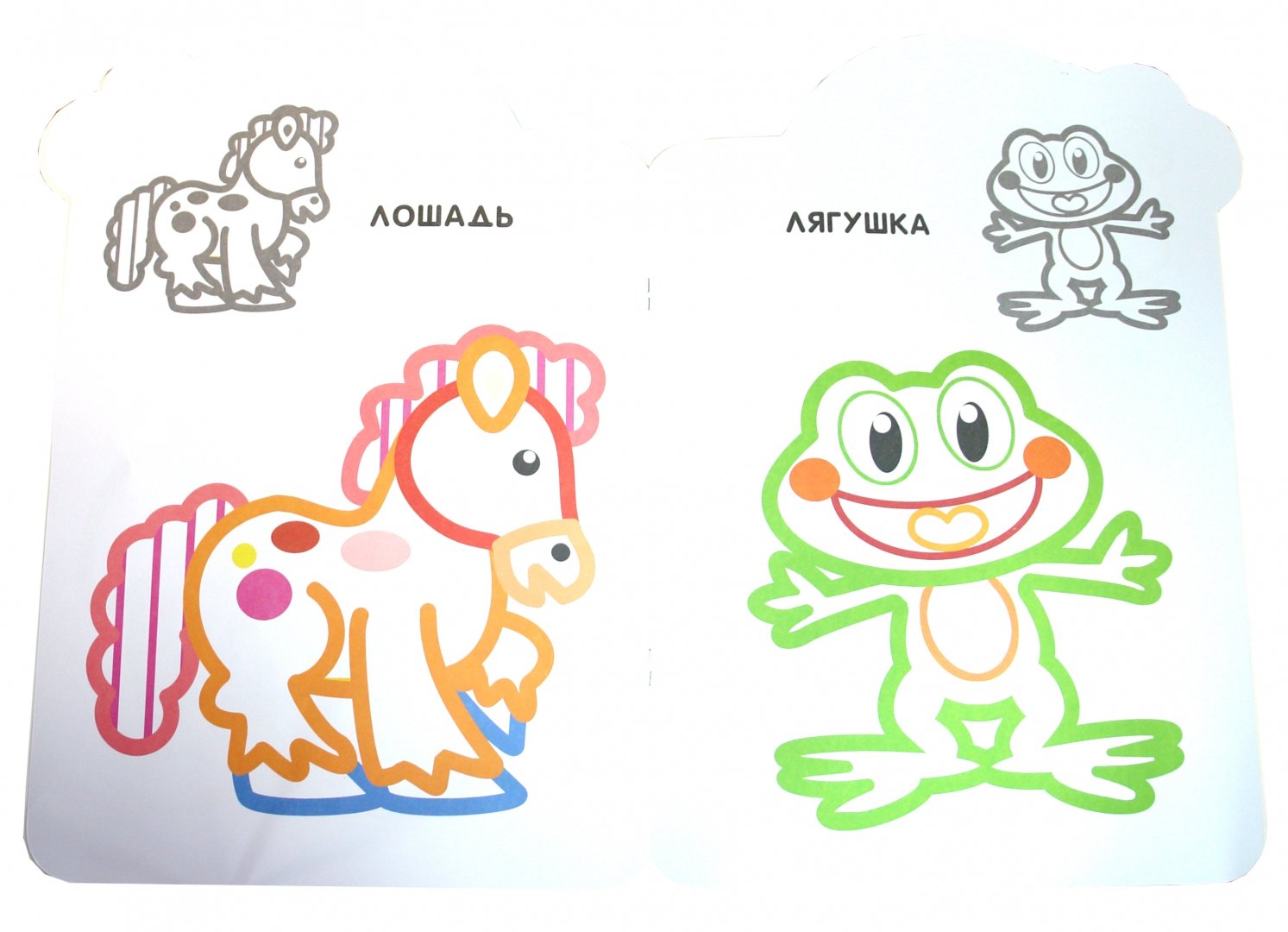 Иллюстрация 1 из 11 для Цветные раскраски с наклейками (зеленая) | Лабиринт - книги. Источник: Лабиринт