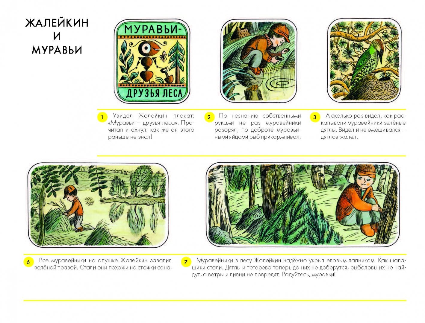 Иллюстрация 4 из 58 для Не долго думая, или Дела и заботы Жалейкина - Николай Сладков | Лабиринт - книги. Источник: Лабиринт