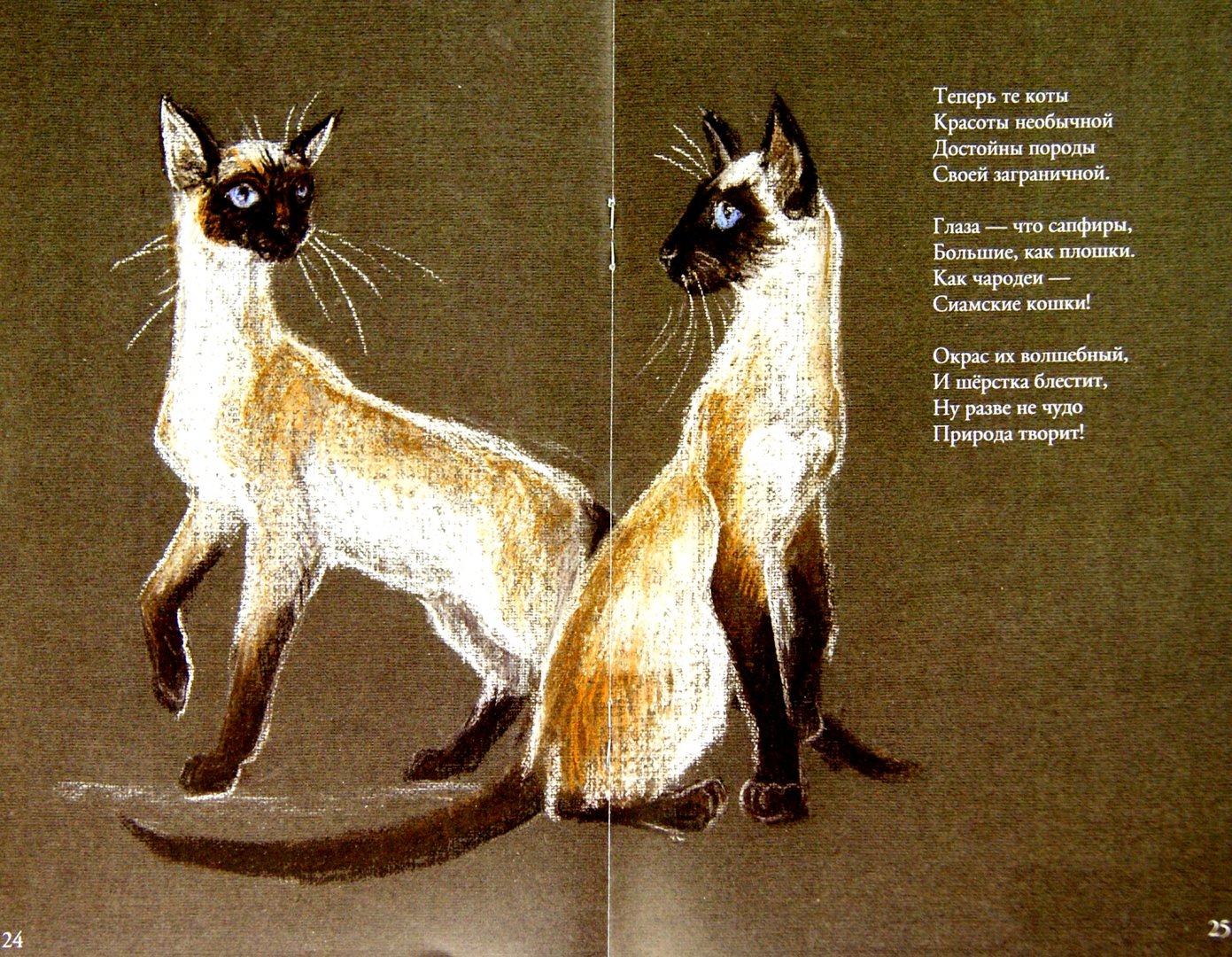 Иллюстрация 1 из 3 для Коты бывают разные - Светлана Белорукова | Лабиринт - книги. Источник: Лабиринт