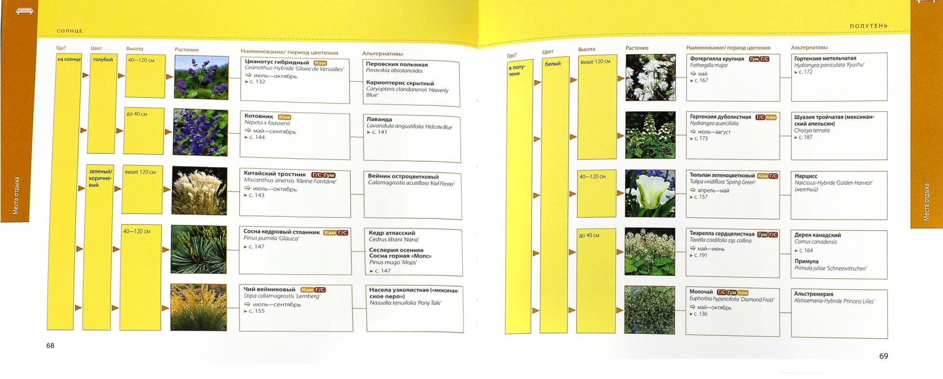 Иллюстрация 1 из 21 для Справочник растений. Как сажать, ухаживать, сочетать - Элизабет Флехаус | Лабиринт - книги. Источник: Лабиринт